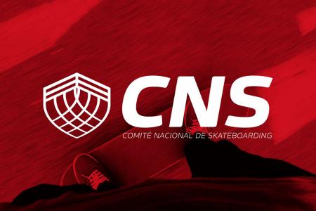 Constituido el Comité Nacional de Skateboarding